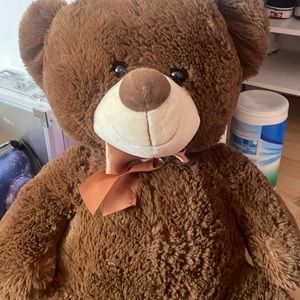 selling brown teddy bear (clean)
